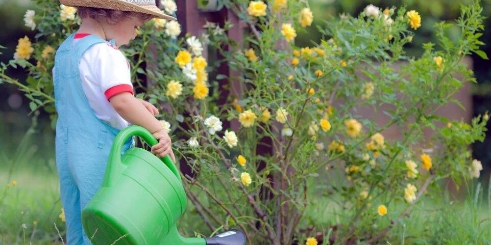 reencarnação reencarnação