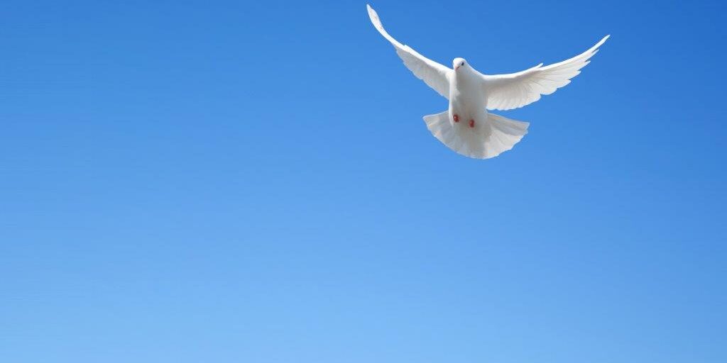 bom-humor allan kardec