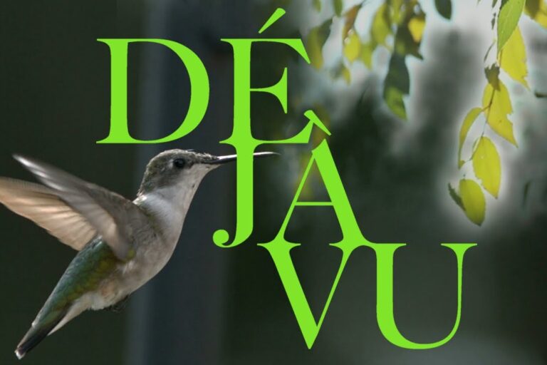 d j vu lucius oficial VhGSxHRQ GA