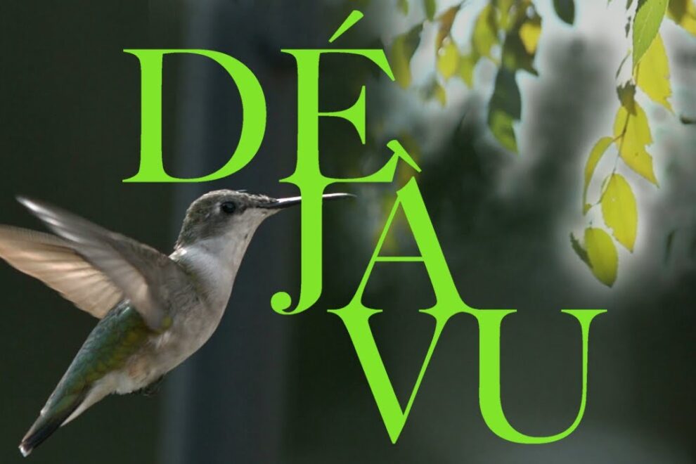 d j vu lucius oficial VhGSxHRQ GA